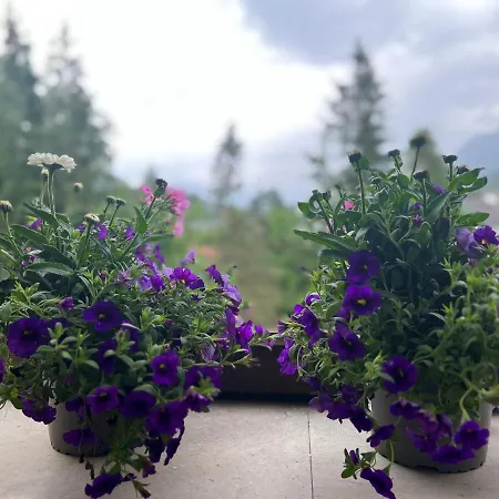 Wolfgangsee „almliebe“ Appartement Strobl